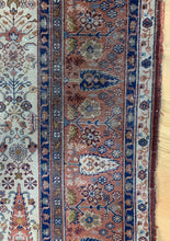 Load image into Gallery viewer, Tarkan