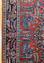 Load image into Gallery viewer, Peacock