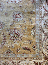 Load image into Gallery viewer, Lodhi