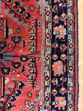 Load image into Gallery viewer, Babak