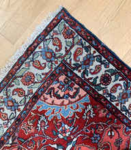 Load image into Gallery viewer, Dilshad