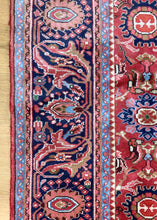 Load image into Gallery viewer, Roshan