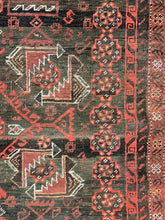 Load image into Gallery viewer, Basil