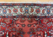 Load image into Gallery viewer, Dilshad