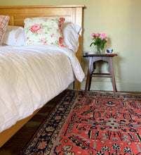 Load image into Gallery viewer, Babak