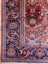 Load image into Gallery viewer, Roshan