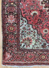 Load image into Gallery viewer, Vashti