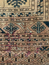 Load image into Gallery viewer, Diba