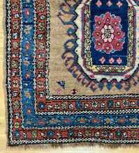 Load image into Gallery viewer, Parviz