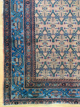 Load image into Gallery viewer, Banu