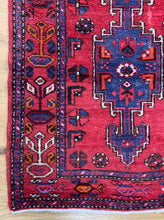 Load image into Gallery viewer, Rosana