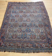 Load image into Gallery viewer, Finna