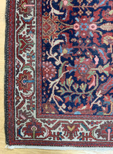 Load image into Gallery viewer, Navid