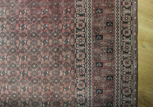 Load image into Gallery viewer, Haani