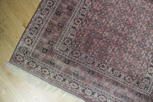 Load image into Gallery viewer, Haani