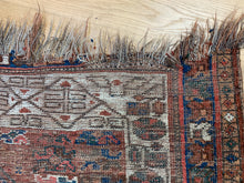 Load image into Gallery viewer, Omid