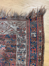 Load image into Gallery viewer, Omid