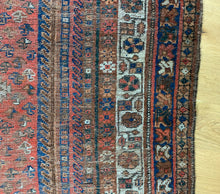 Load image into Gallery viewer, Omid