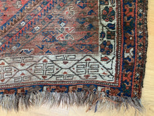 Load image into Gallery viewer, Omid