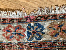 Load image into Gallery viewer, Javid