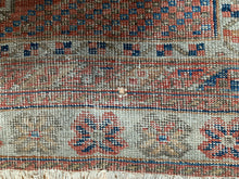 Load image into Gallery viewer, Javid