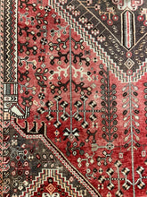 Load image into Gallery viewer, Bijan