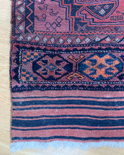 Load image into Gallery viewer, Veeda