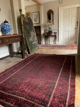 Load image into Gallery viewer, Temor