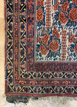 Load image into Gallery viewer, Taif