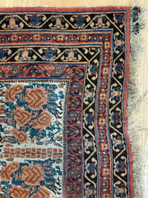 Load image into Gallery viewer, Taif