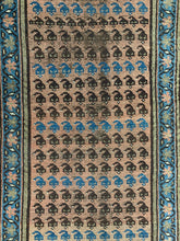 Load image into Gallery viewer, Eylo