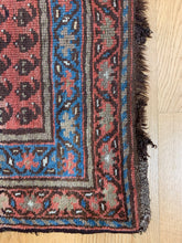 Load image into Gallery viewer, Eylo