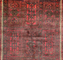 Load image into Gallery viewer, Temor