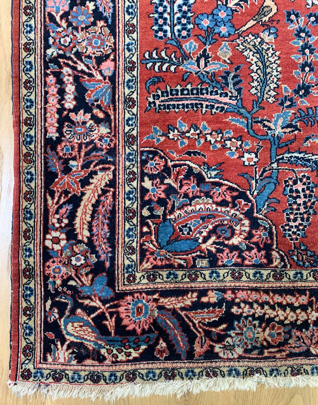 Peacock